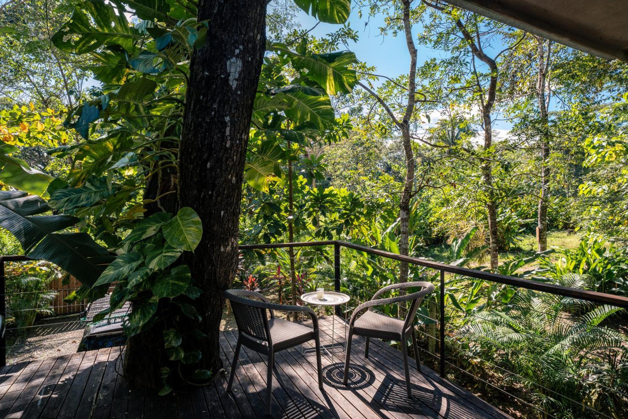 Feeling Trees Jungle Lodge Cabuya  Dış mekan fotoğraf