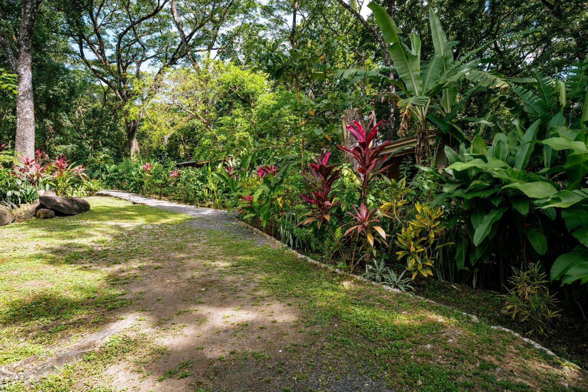 Feeling Trees Jungle Lodge Cabuya  Dış mekan fotoğraf