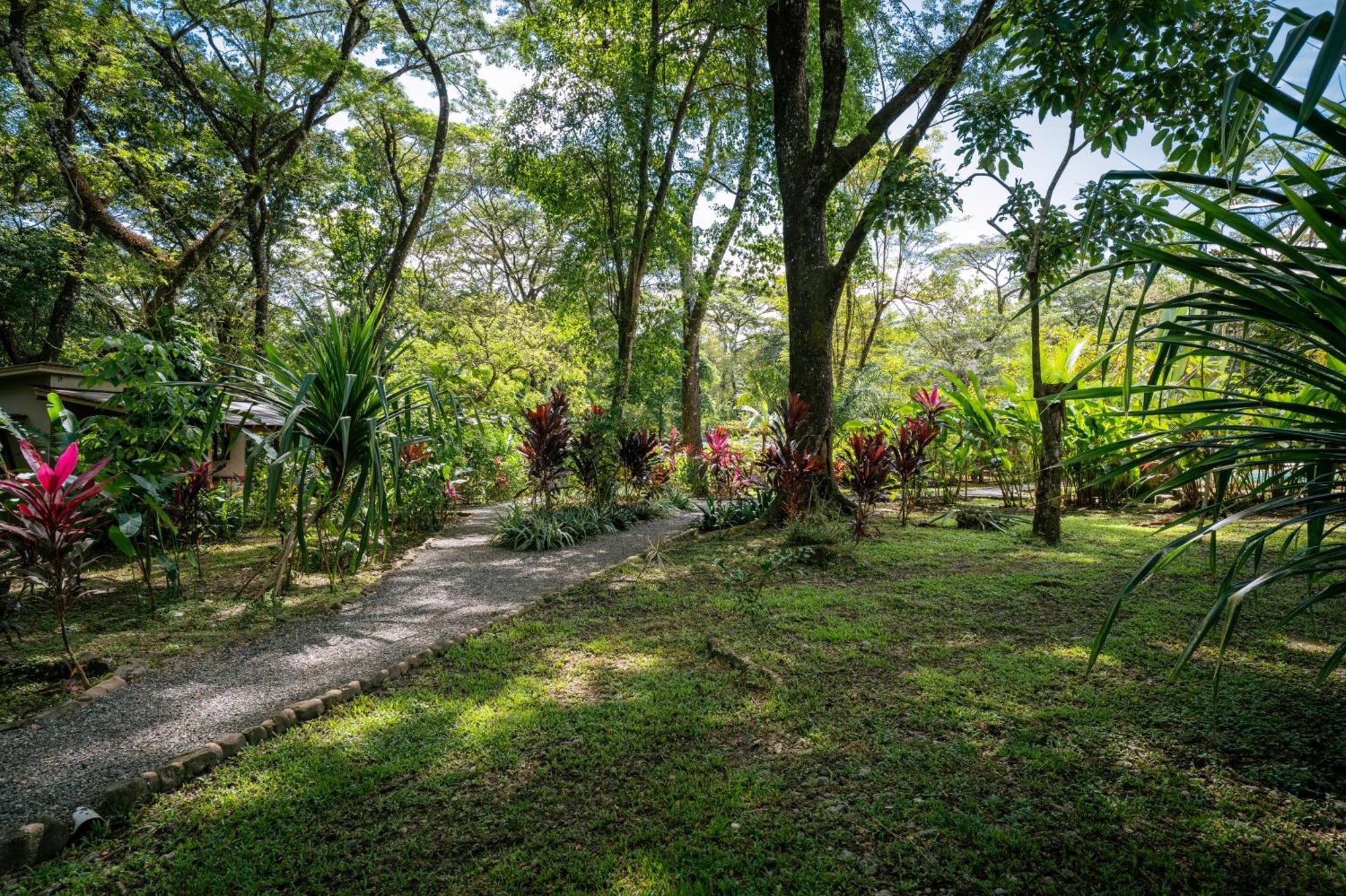 Feeling Trees Jungle Lodge Cabuya  Dış mekan fotoğraf