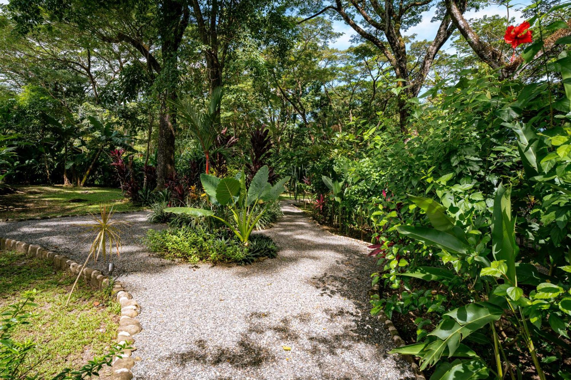 Feeling Trees Jungle Lodge Cabuya  Dış mekan fotoğraf
