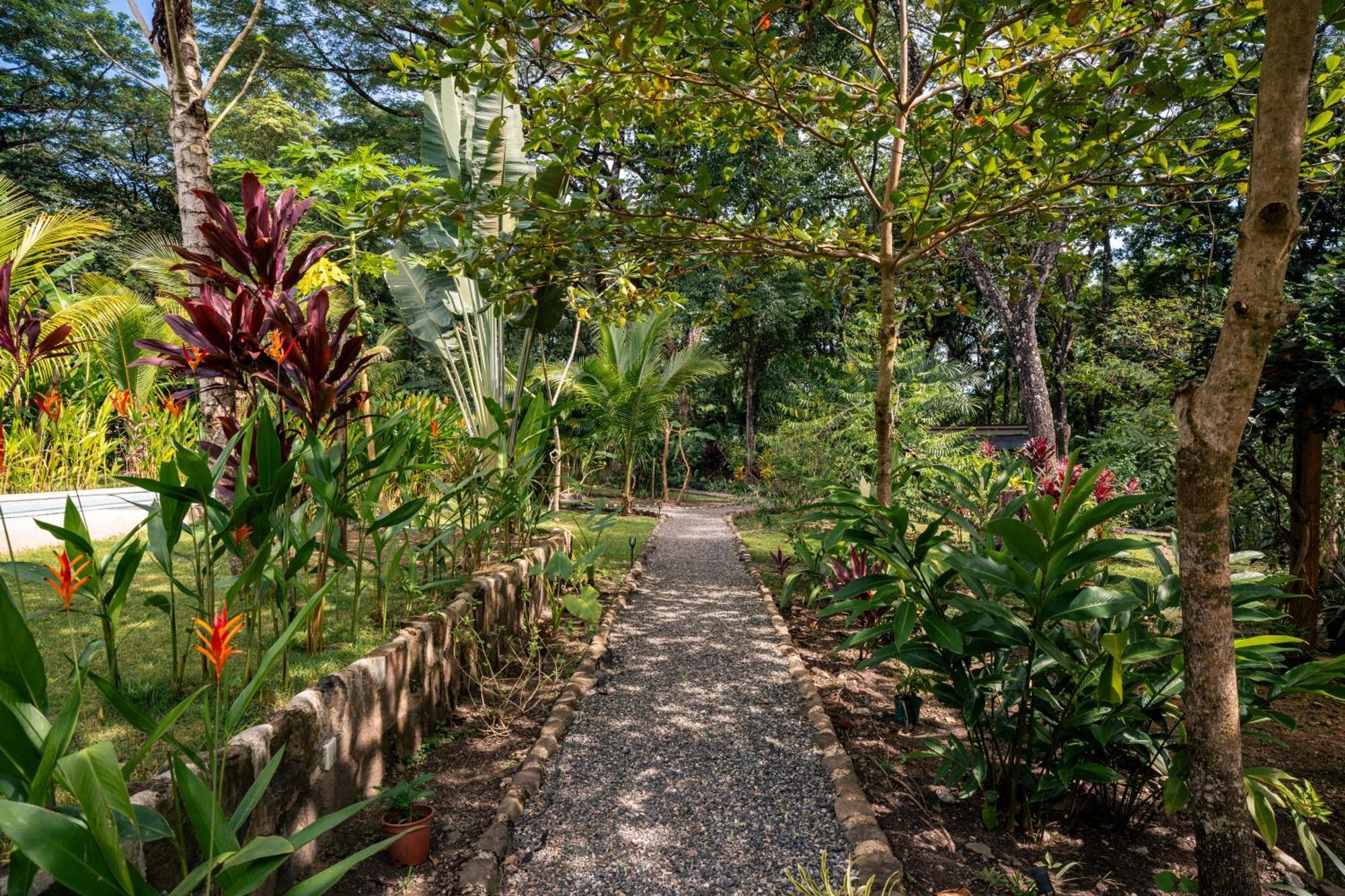 Feeling Trees Jungle Lodge Cabuya  Dış mekan fotoğraf