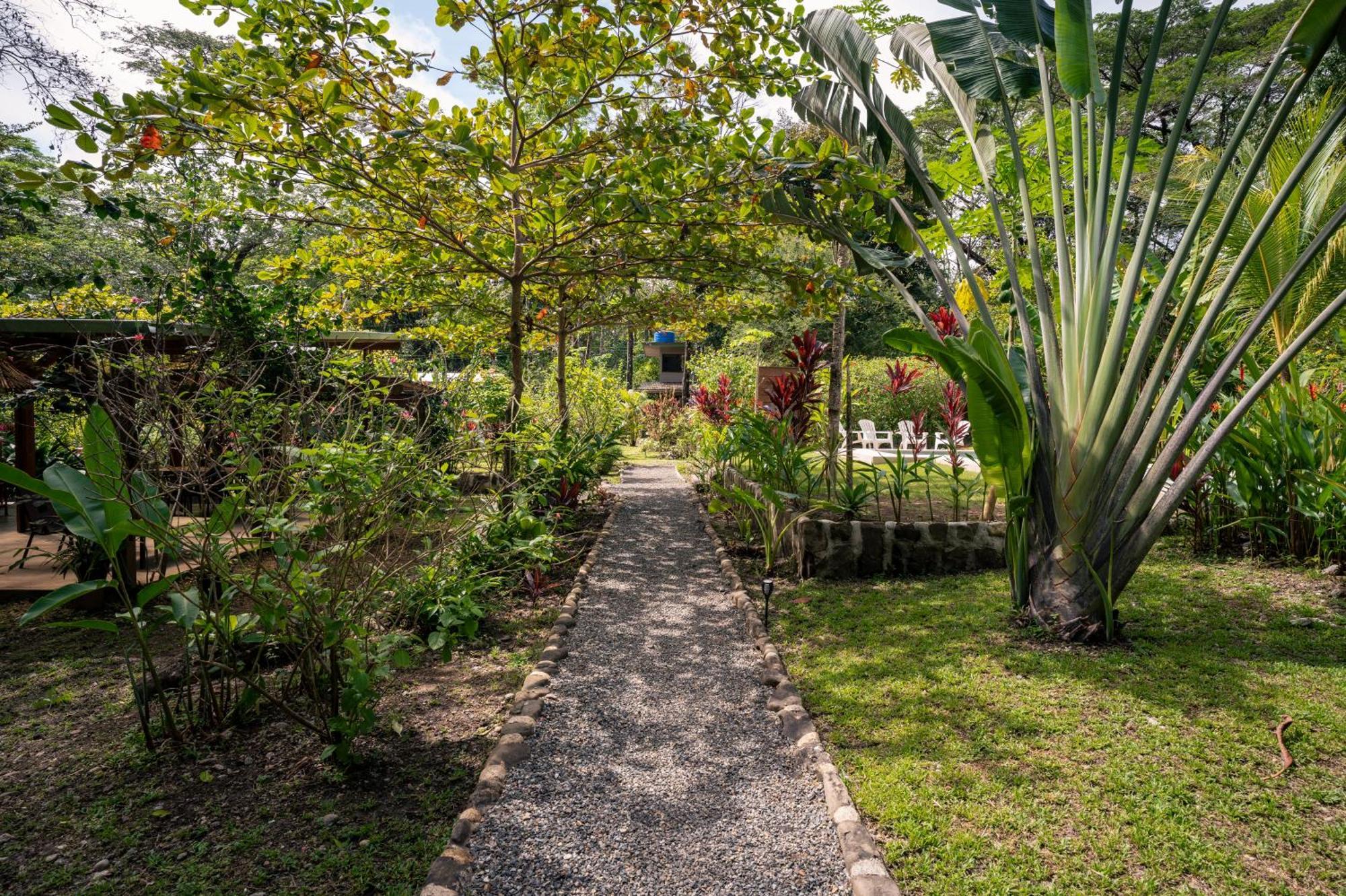 Feeling Trees Jungle Lodge Cabuya  Dış mekan fotoğraf