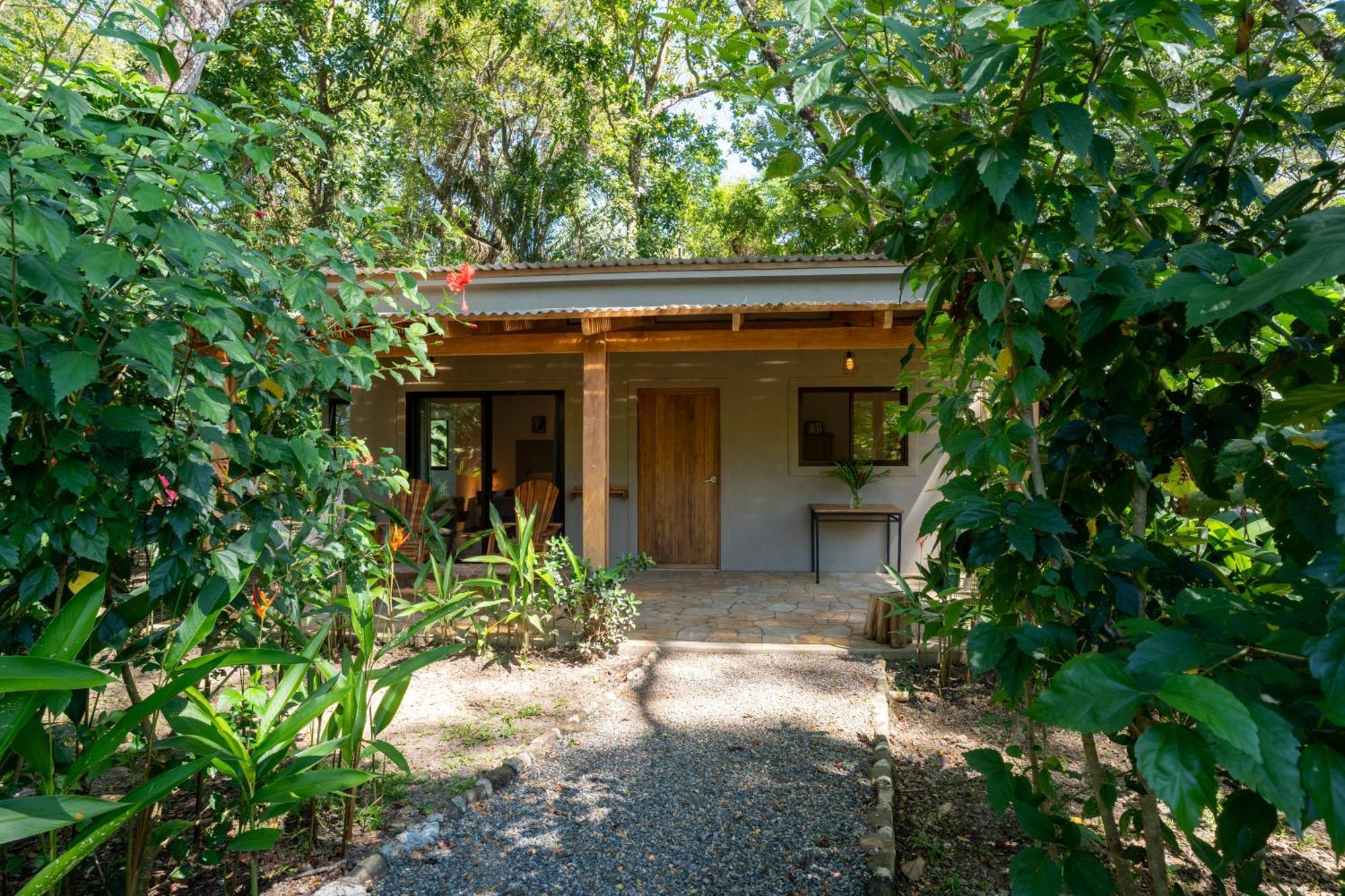 Feeling Trees Jungle Lodge Cabuya  Dış mekan fotoğraf