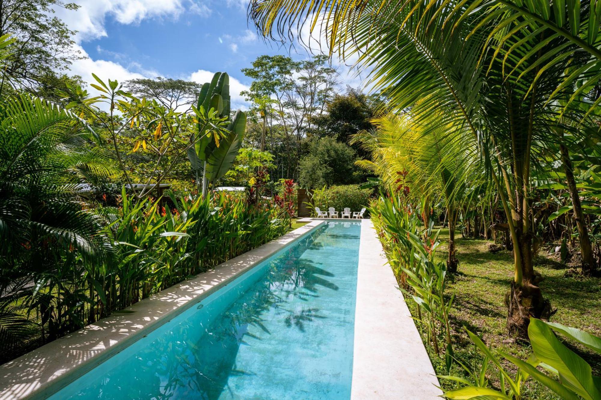 Feeling Trees Jungle Lodge Cabuya  Dış mekan fotoğraf
