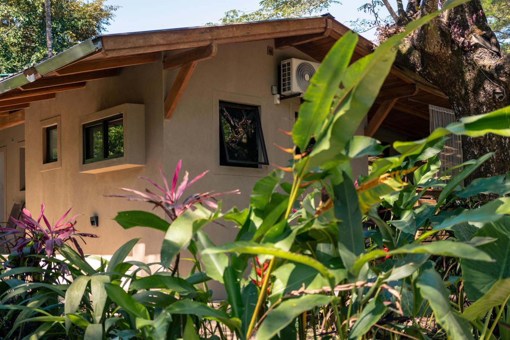 Feeling Trees Jungle Lodge Cabuya  Dış mekan fotoğraf