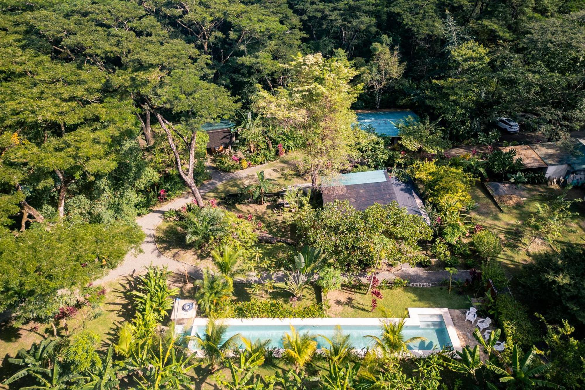 Feeling Trees Jungle Lodge Cabuya  Dış mekan fotoğraf
