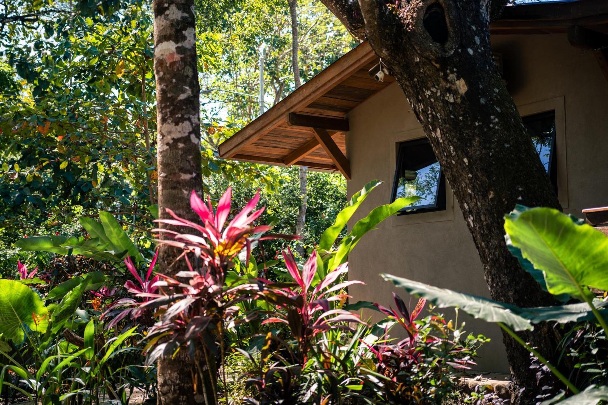 Feeling Trees Jungle Lodge Cabuya  Dış mekan fotoğraf