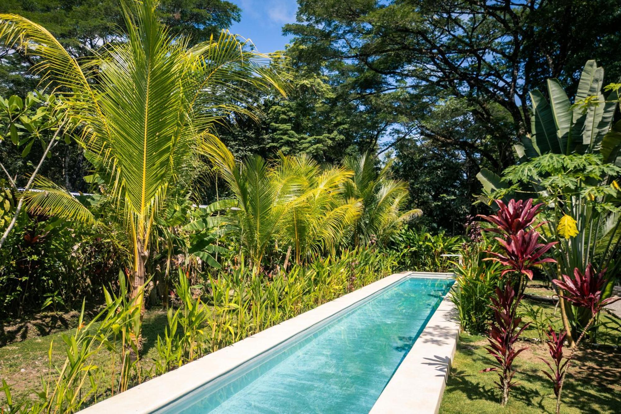 Feeling Trees Jungle Lodge Cabuya  Dış mekan fotoğraf